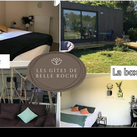 Mâcon Les Gites De Belle Roche מראה חיצוני תמונה